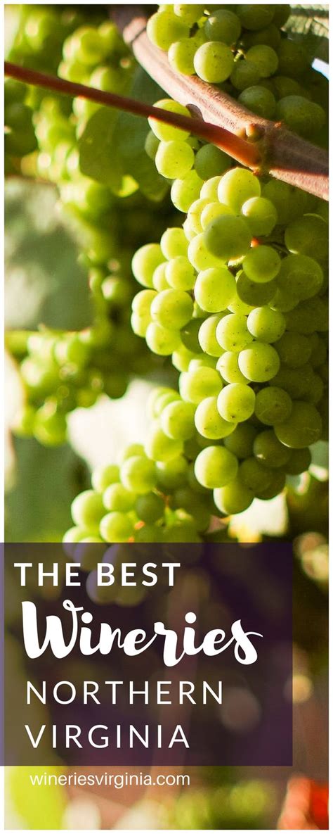 Best Wineries In N Virginia Dc Weekendgetaways Wineries Virginia