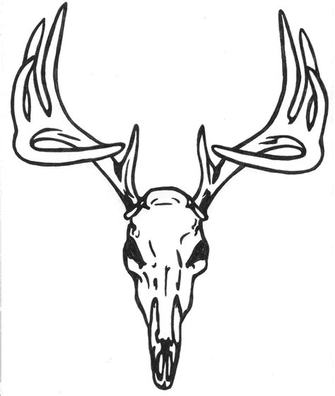 Simple Deer Head Drawing At Explore Collection Of