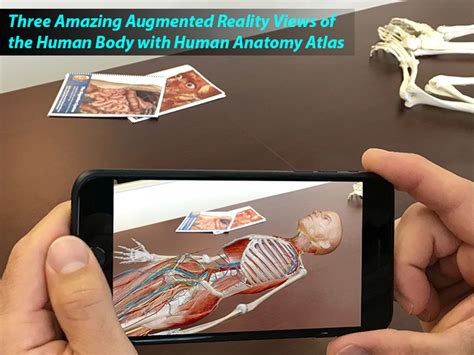 Three Amazing Augmented Reality Views Of The Human Body With Human
