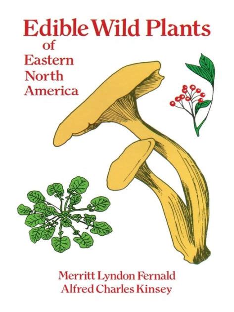 Edible Wild Plants Of Eastern North America By Merritt L Fernald