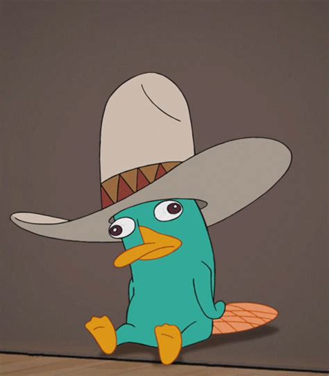 The Many Hats Of Perry The Platypus Including His Fedora Phineas