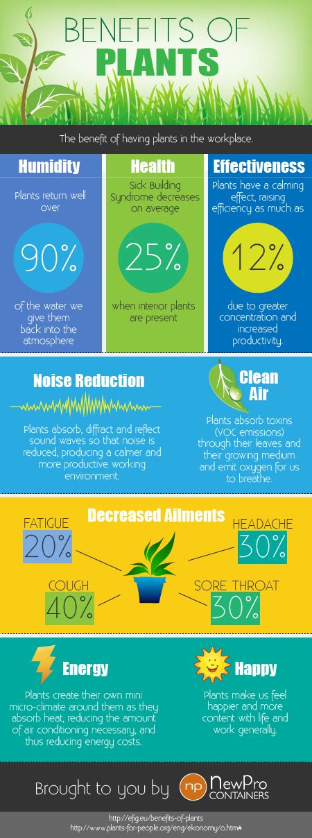 The Health And Work Benefits Of Plants Infographic Newpro Blog