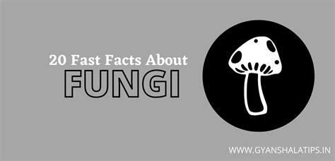 22 Fast Facts About Fungi For Quick Learning Gyanshala Tips