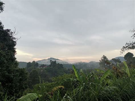 The cameron highlands are in pahang, west malaysia. Cameron Highlands Trail No. 3 (Tanah Rata) - 2020 All You ...