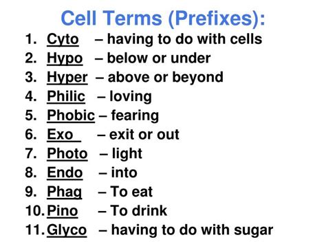Ppt Cell Terms Prefixes Powerpoint Presentation Free Download
