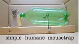 Photos of Mouse Trap Using Plastic Bottle