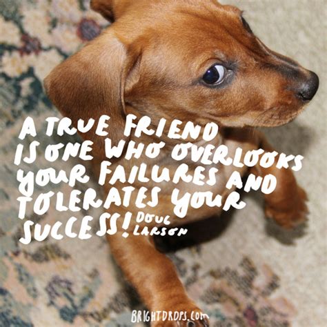 18 Funny Quotes To Send To Your Best Friend Bright Drops