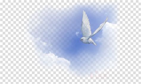 Holy Spirit Images Hd Png As We Can See Holy Spirit Is Depicted As A