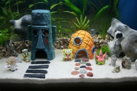 Oct 08, 2019 · decorate the fish tank according to the festival to spice it up. How to Decorate Your Boring Fish Tank - Pouted Magazine