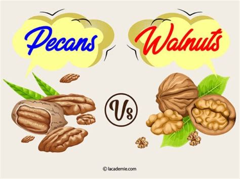 Pecans Vs Walnuts Are They The Same