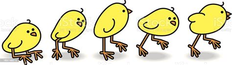 Five Chicks Running In A Line Stock Illustration Download Image Now