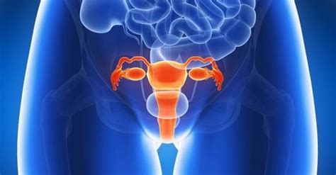 Endometriosis happens when the endometrium, tissue that usually lines the inside of your uterus, grows outside it. Frugal Finance: Endometriosis Symptoms And Effective ...