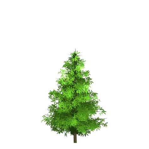 Free Image on Pixabay - Spruce, Tree, Green, Painted Tree | Tree painting, Tree forest, Tree