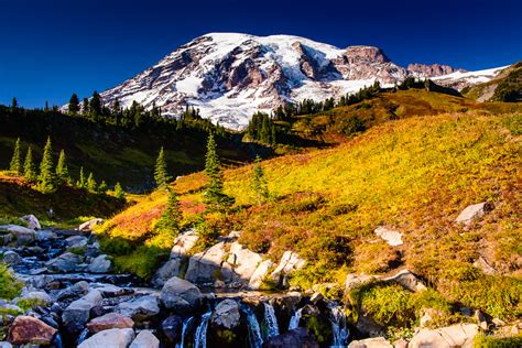 Mount Rainier: Paradise Autumn Colors - Michael McAuliffe Photography