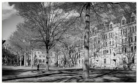 Yale Old Campus Photograph By Georgia Fowler Fine Art America