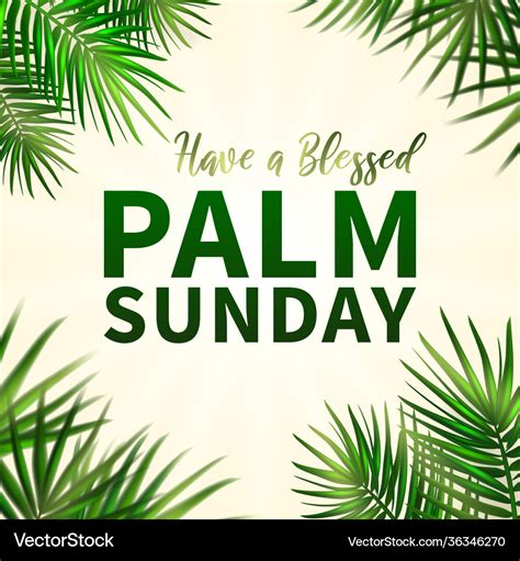 Palm Sunday Greeting Banner Template For Vector Image