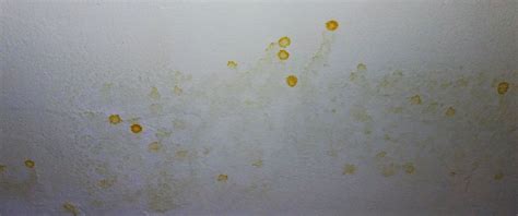 Yellow Sticky Stuff On Bathroom Walls Artcomcrea