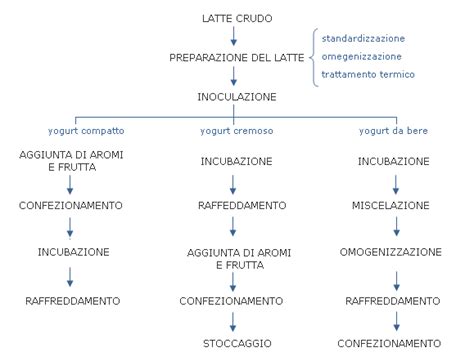 Fermentazione fase a 43°c fermentazione fase a 31°c. Yogurt compatto, yogurt cremoso, yogurt da bere