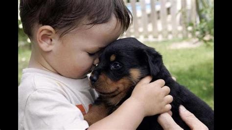 Puppy Are Best Friend To Grow Up With Baby Cute Puppies