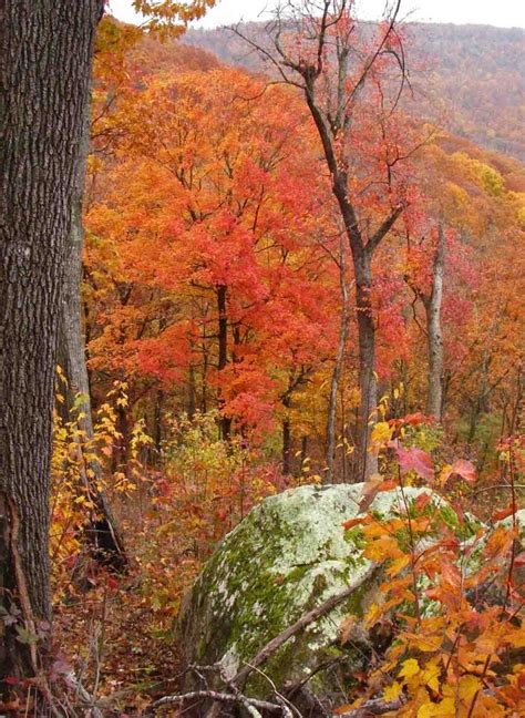 Why Visit The Ozark Mountains All The Fall Colors Ozark Mountains