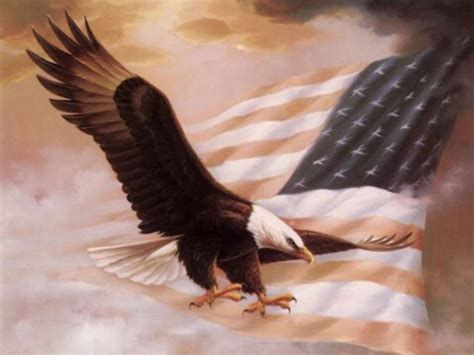 49 American Flag Eagle Wallpaper Wallpapersafari