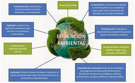 Alternativas Para Cuidar El Medio Ambiente Educación Ambiental