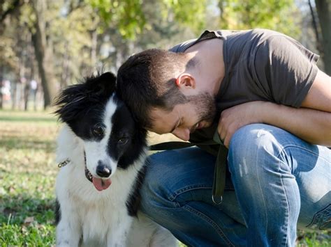 But do our furry pals really miss us?. Do Dogs Miss Family Members? - Canine HQ