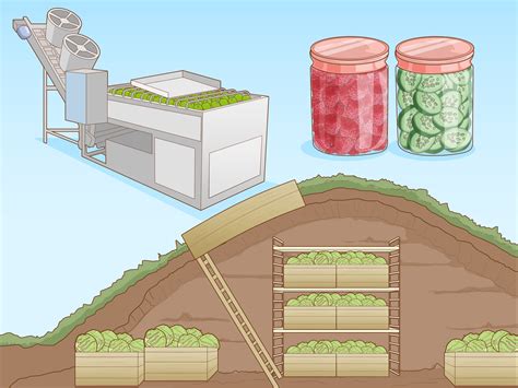 How to Grow Your Own Food - Links