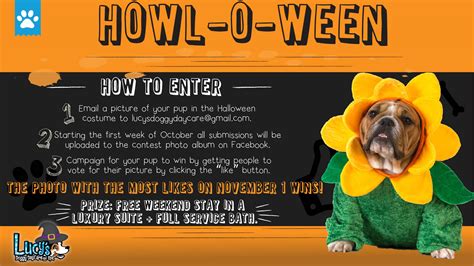 Howl-o-Ween Facebook Costume Contest - Lucy`s Doggy Daycare