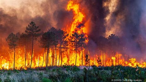 Kebakaran Spanyol Hanguskan 4 Ribu Hektar Hutan 1 500 Warga Mengungsi