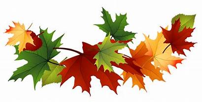 Leaves Clip Fall Autumn Leaf Clipart Cliparting