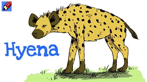 How To Draw A Hyena Youtube