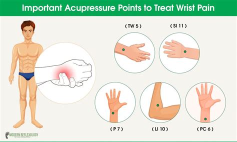 Pressure Points For Immune System Lipbal