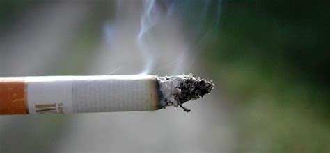 Humo Del Tabaco Peligroso Para Tu Salud Y El Medio Ambiente