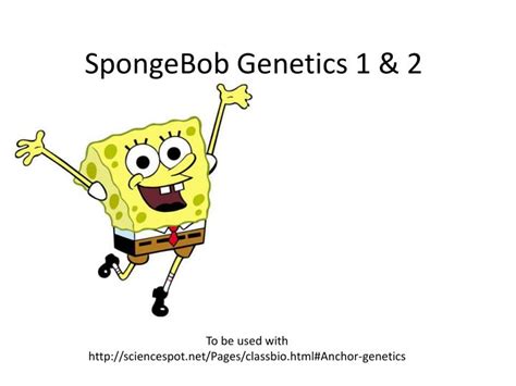 Use the information provided and your knowledge of genetics to answer each question. PPT - SpongeBob Genetics 1 & 2 PowerPoint Presentation ...