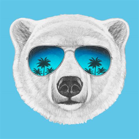 90 Polar Bear Sunglasses Illustrations Royalty Free Vector Graphics