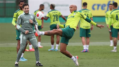 treino tático encerra preparação do palmeiras para final do paulista palmeiras