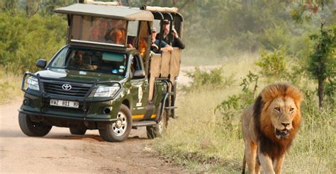 Kruger National Park Full Day Private Safari With Pickup Getyourguide