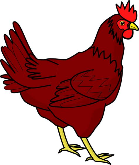 Download Chicken Hen Farm Animal Royalty Free Vector Graphic Pixabay
