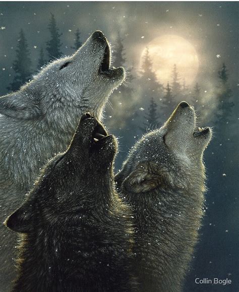 This 28 Facts About Wolves Howling At The Moon Pictures Feel Free To