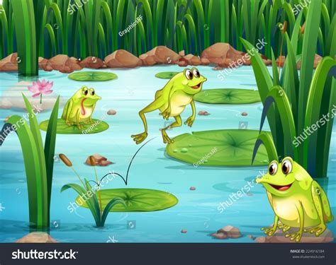 Illustration Of Many Frogs In The Pond 224916184 Shutterstock