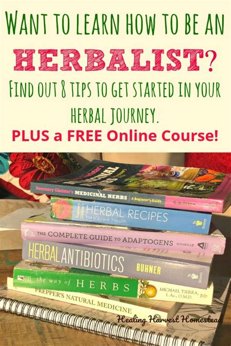 So You Want To Become An Herbalist Here Are Eight Simple Steps Youll