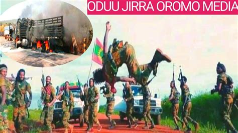 Oduu Olmaya Ibsa Hatatama News Free Oromia Youtube