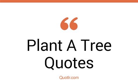 45 Genuine Plant A Tree Quotes That Will Unlock Your True Potential
