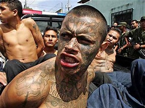 Image result for WHO IS MS-13