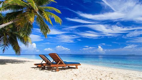 Palmen Paradies Strand Liegestuhl Meer Sommer Tropisch 3840x2160