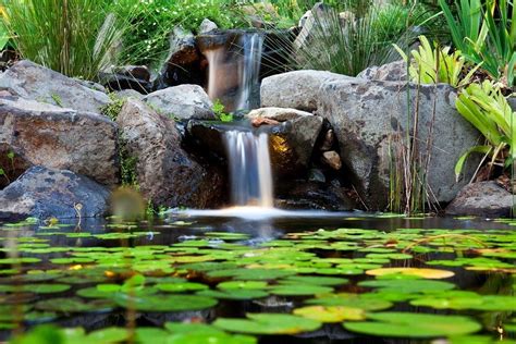 Our Residential Projects Waterscapes Australia Small Water Gardens