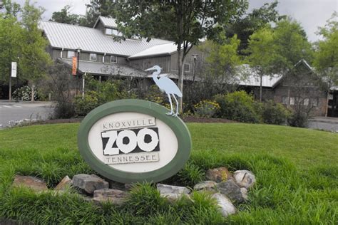 The Knoxville Zoo Knoxville Zoo Pinterest