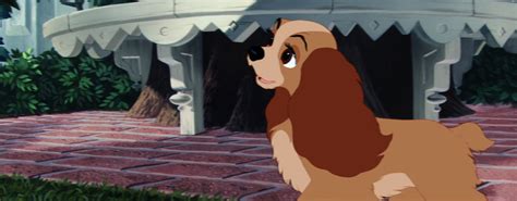 Lady And The Tramp 1955 Disney Screencaps Lady And The Tramp