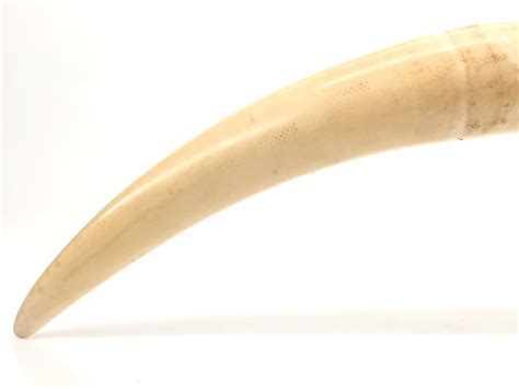 Sold Price African Scenic Hand Carved Ivory Elephant Tusk Invalid